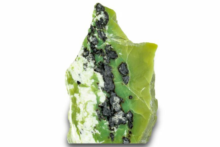 Free-Standing Polished Noble Serpentine - Washington #314852